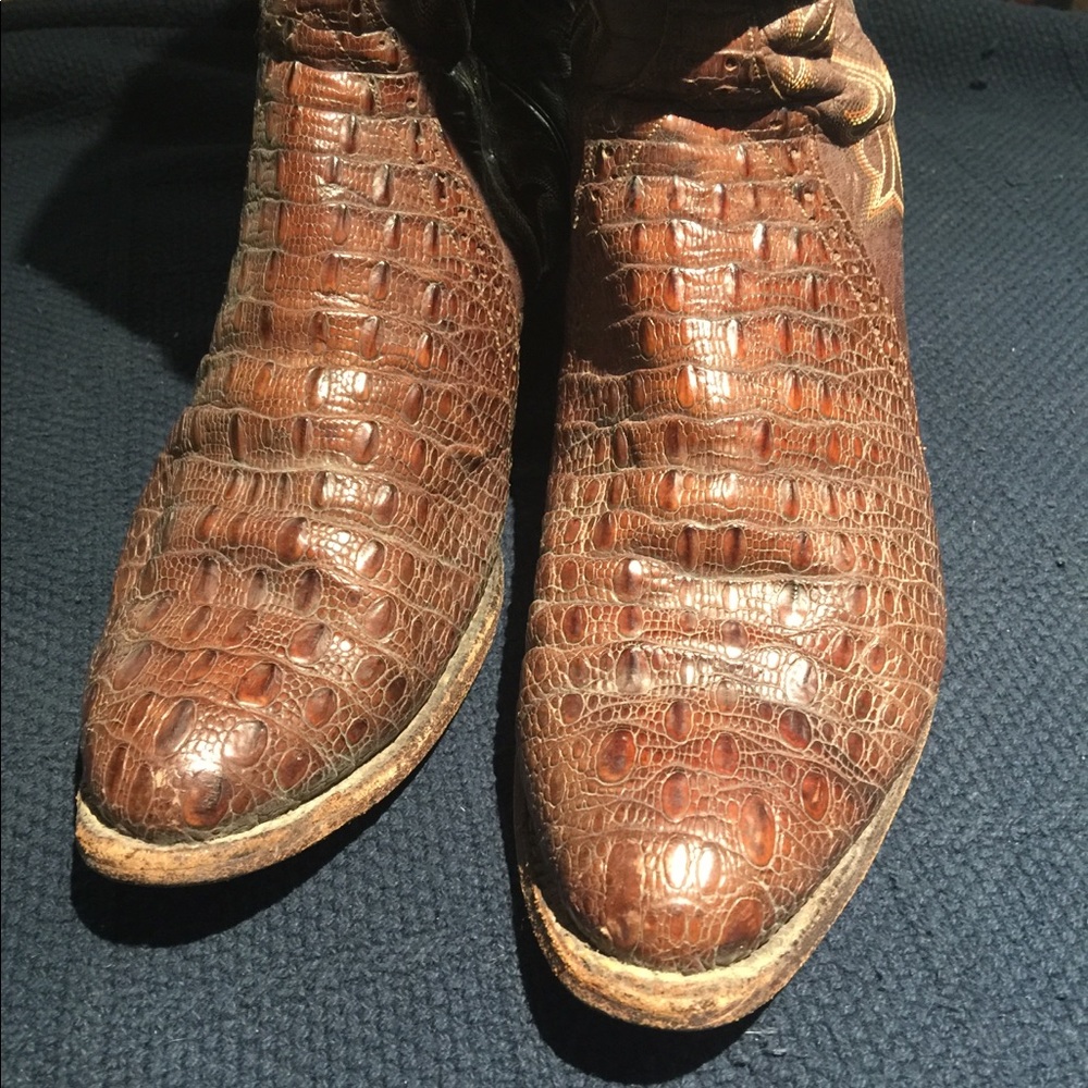 Cowboy Boots / Hornback Lizard